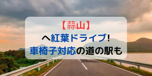 紅葉‐ドライブ‐車椅子‐バリアフリー