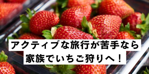 いちご狩り‐家族‐冬休み