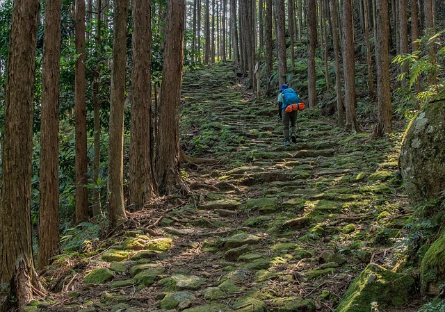 熊野古道の絶景トレッキングコース