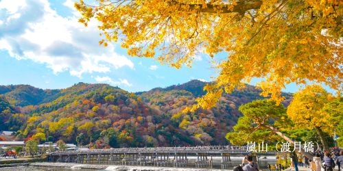 国内-絶景-嵐山