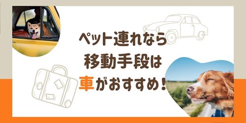 ペット連れ旅行-注意点-移動