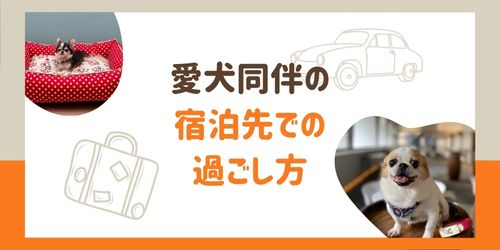 ペット連れ旅行-注意点-過ごし方